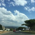 IMG_3795