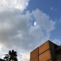 IMG_8392