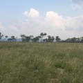 IMG_8453