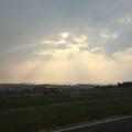 IMG_8545